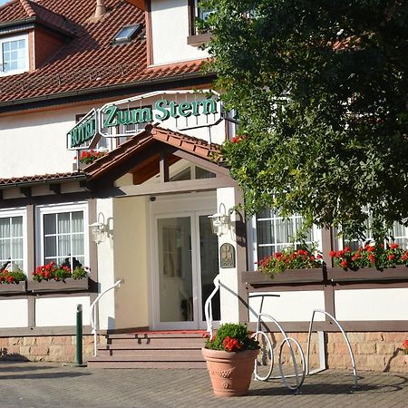Oberaula Parkhotel Zum Stern מראה חיצוני תמונה
