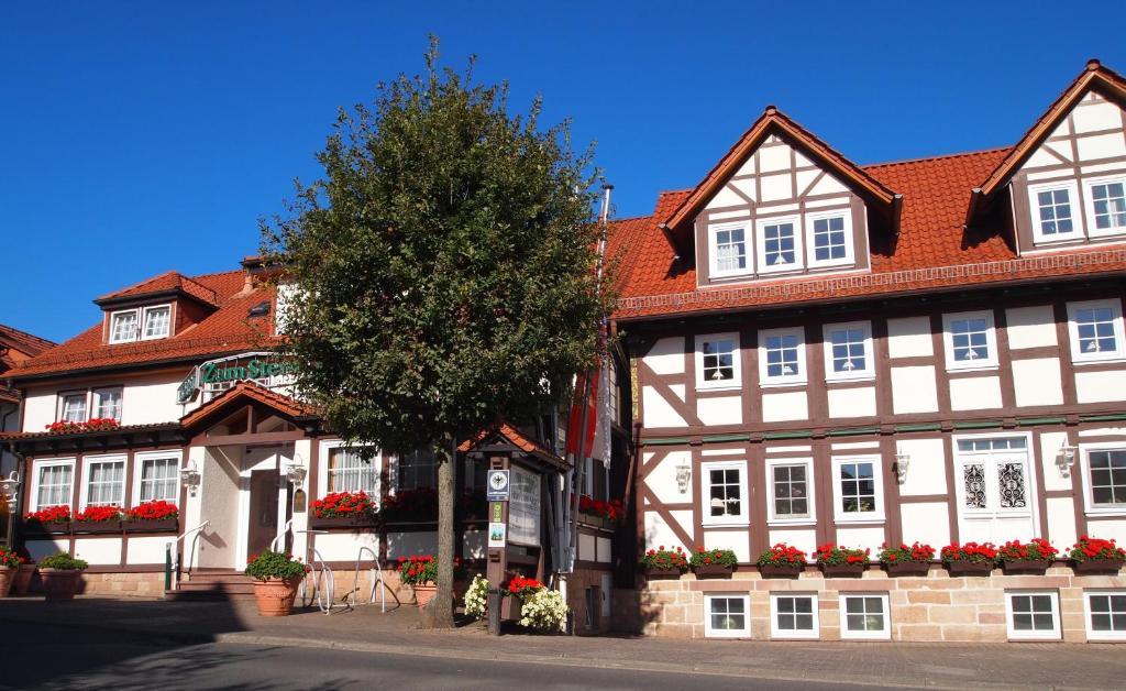 Oberaula Parkhotel Zum Stern מראה חיצוני תמונה