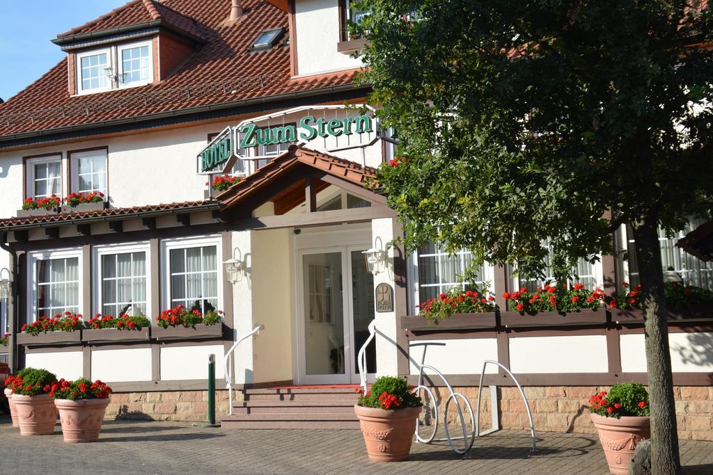 Oberaula Parkhotel Zum Stern מראה חיצוני תמונה